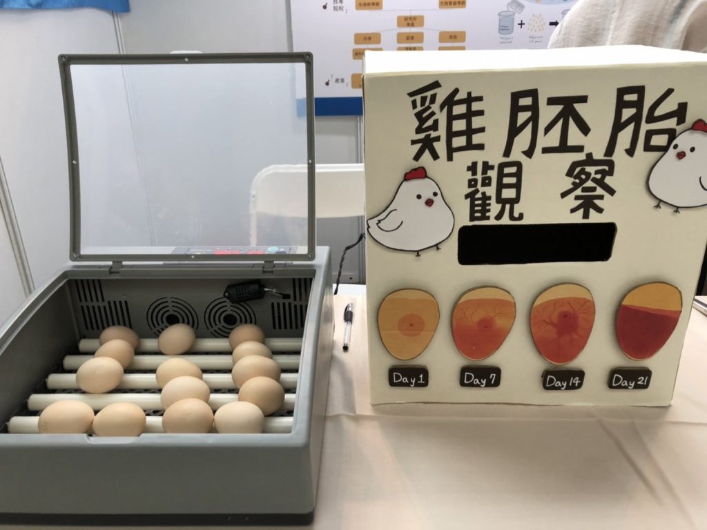 相關照片_4