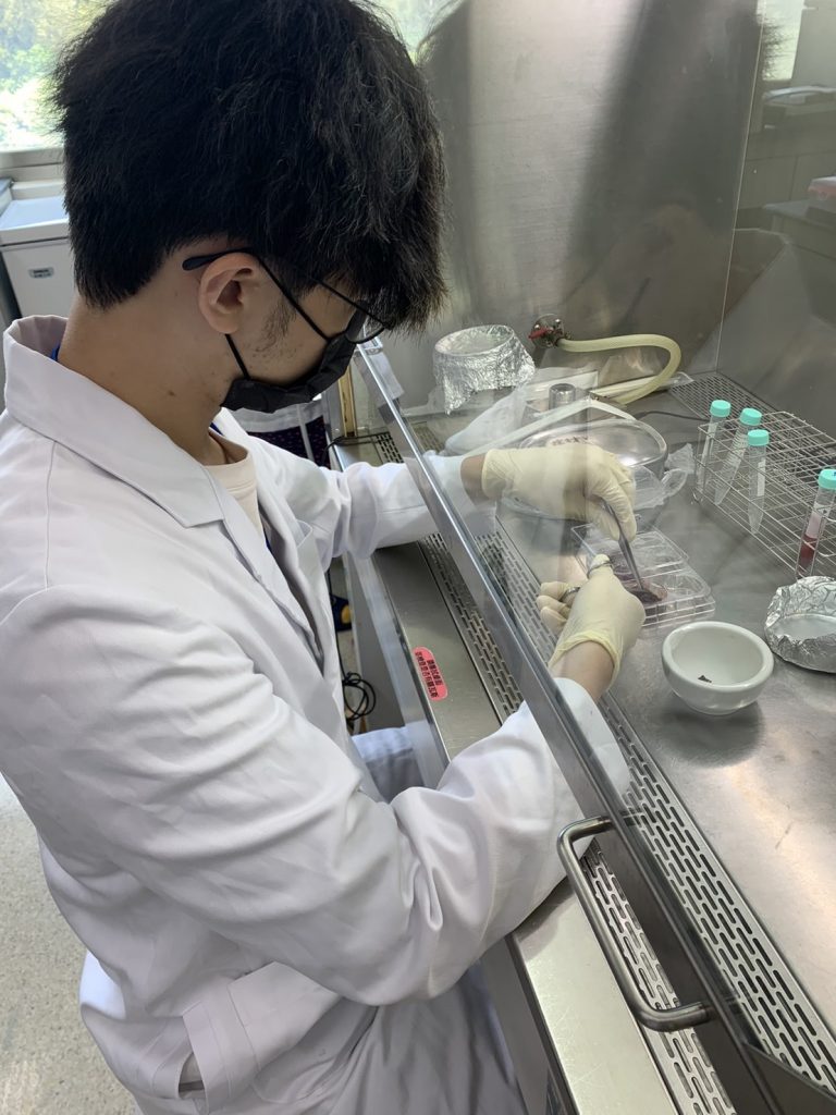 相關照片_3